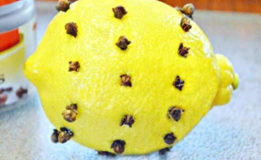 Limon Karanfil Nasıl Elde Edilir?